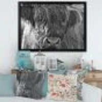 Toile imprimée « Scottish Highland Cows Living on Moorland »