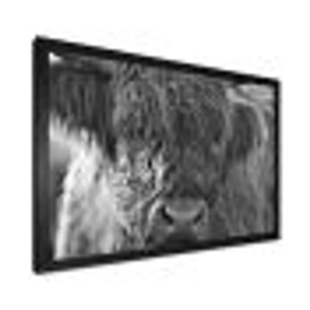 Toile imprimée « Scottish Highland Cows Living on Moorland »