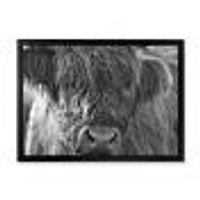 Toile imprimée « Scottish Highland Cows Living on Moorland »