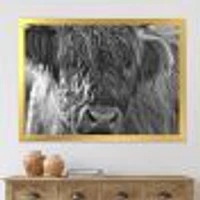 Toile imprimée « Scottish Highland Cows Living on Moorland »