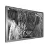 Toile imprimée « Scottish Highland Cows Living on Moorland »