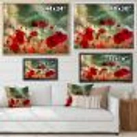 Wild Red Poppy Flowers Sky  Canvas Art Print