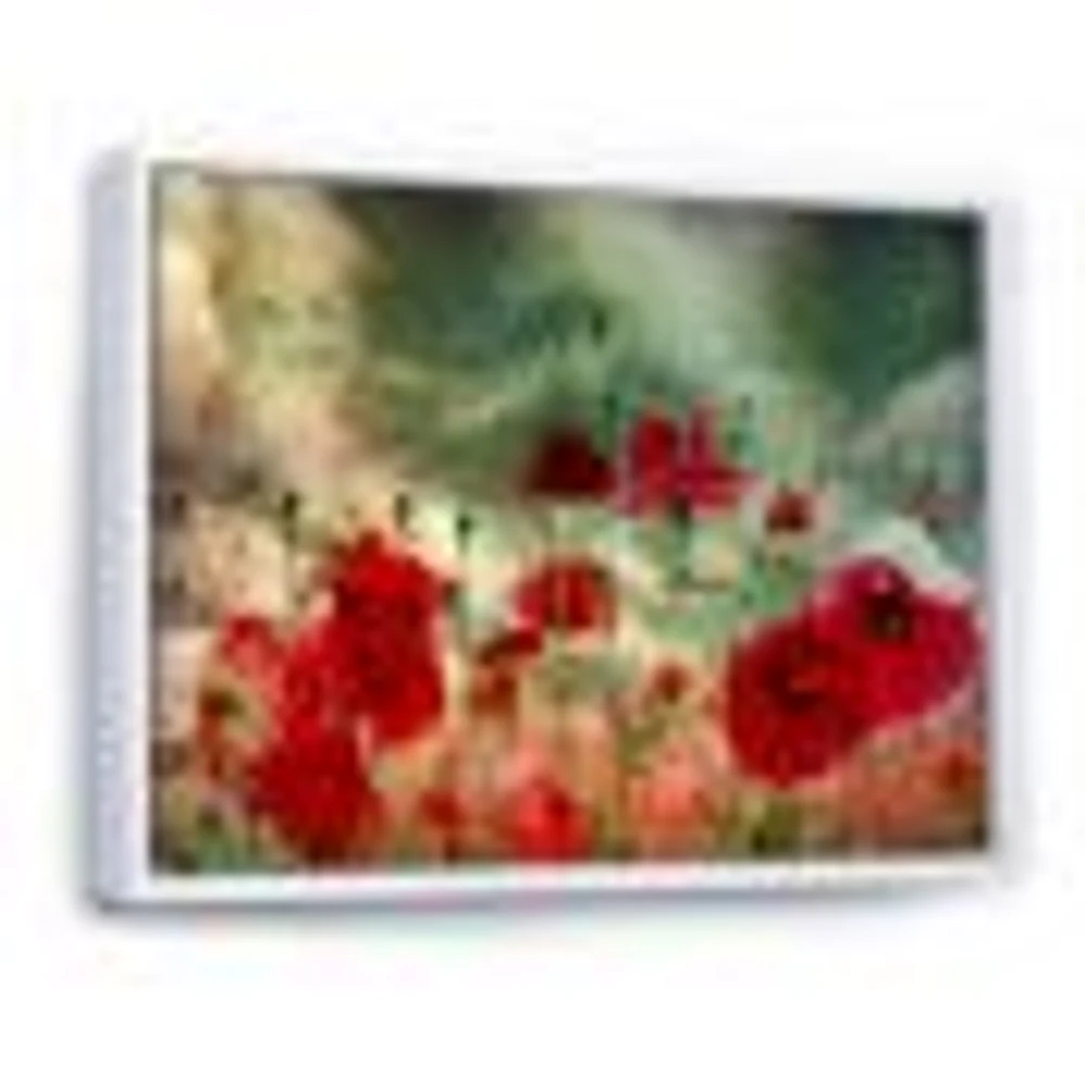 Wild Red Poppy Flowers Sky  Canvas Art Print