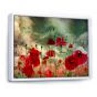 Wild Red Poppy Flowers Sky  Canvas Art Print
