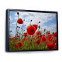 Bright Red Poppy Flowers Photo Artwork on Canvas