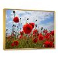 Bright Red Poppy Flowers Photo Artwork on Canvas