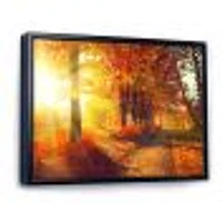 Toile « Autumnal Trees Sunrays »