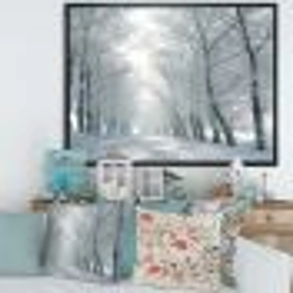 Winter Road Backlit my Morning Sun  Wall Art