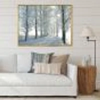 Winter Trees Backlit by Morning Sun  Wall Art