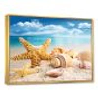 Starfish and Seashells on Beach Canvas Wall Art Print