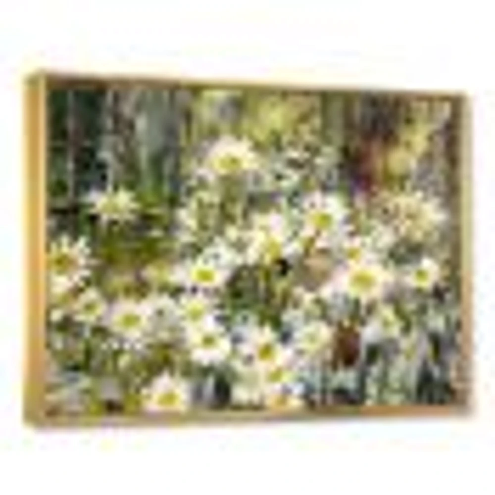 Daisies Flowers Under the Window  Wall Art