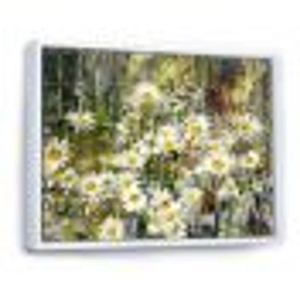 Daisies Flowers Under the Window  Wall Art
