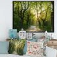 Evening Green Forest  Canvas Art Print