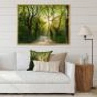 Evening Green Forest  Canvas Art Print