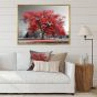 Big Red Tree on Foggy Day  Canvas Art Print