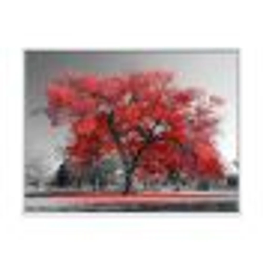 Big Red Tree on Foggy Day  Canvas Art Print