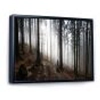Misty Forest Morning Panorama  Wall Art