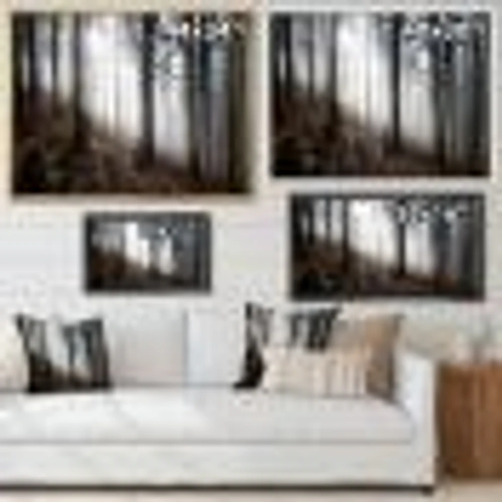 Misty Forest Morning Panorama  Wall Art