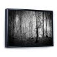 Beautiful Forest Morning Panorama  Canvas Art Print