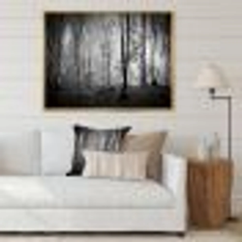 Beautiful Forest Morning Panorama  Canvas Art Print