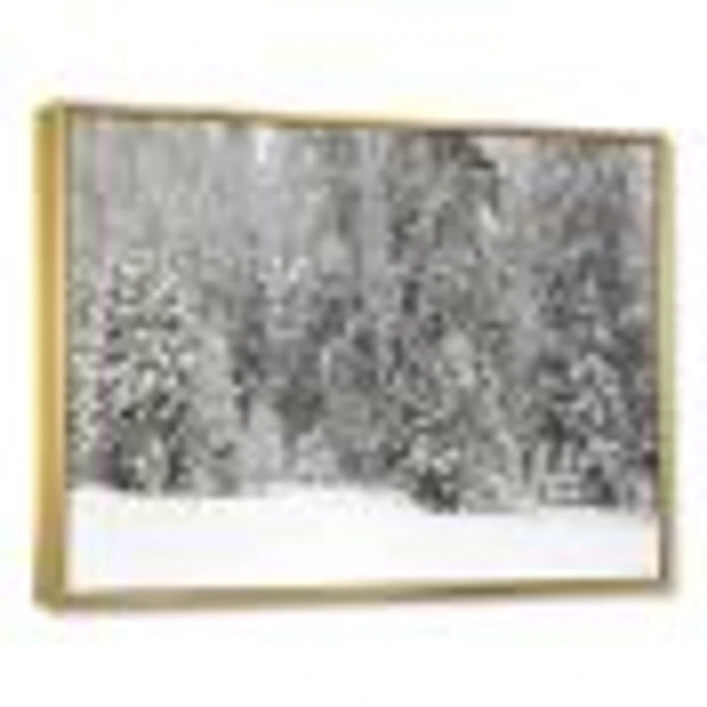 Foggy Winter Forest Panorama  Wall Art