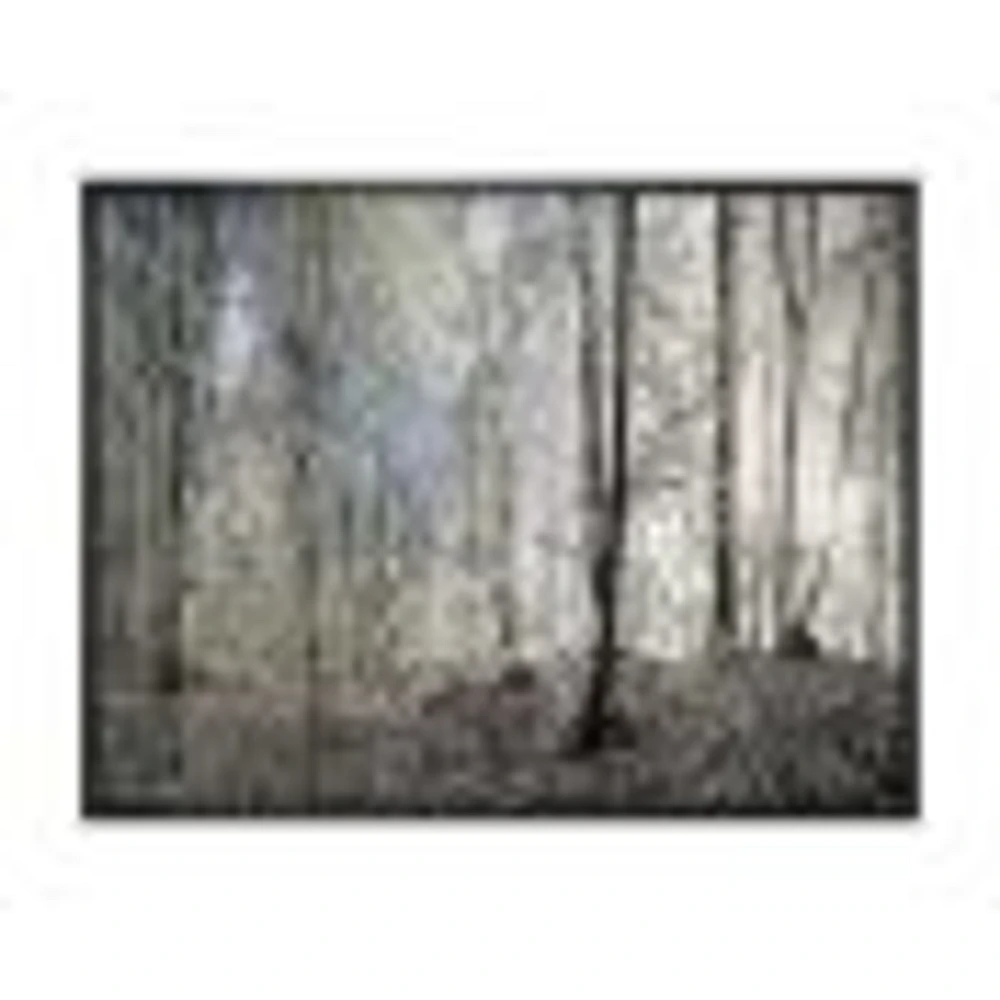 Dark Morning Forest Panorama  Canvas Wall Art Print