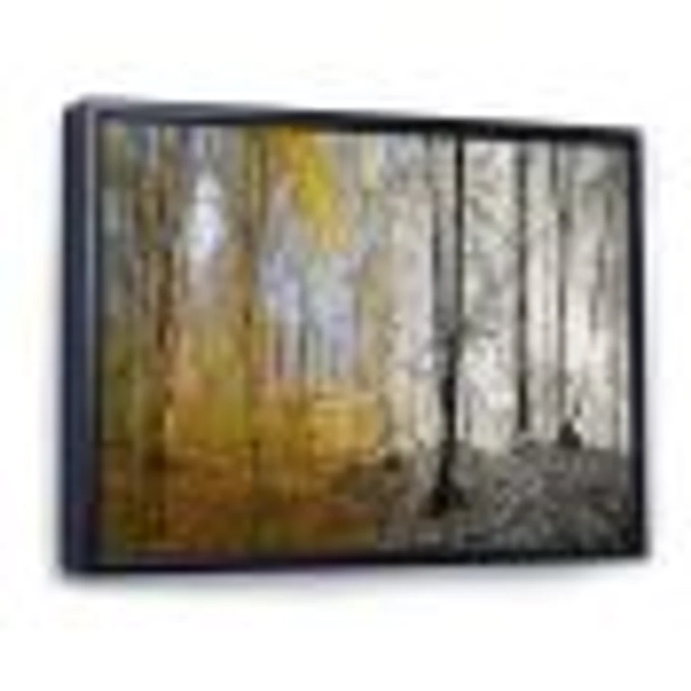 Morning Forest Panorama Canvas Art Print