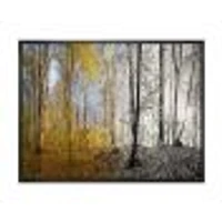 Morning Forest Panorama Canvas Art Print