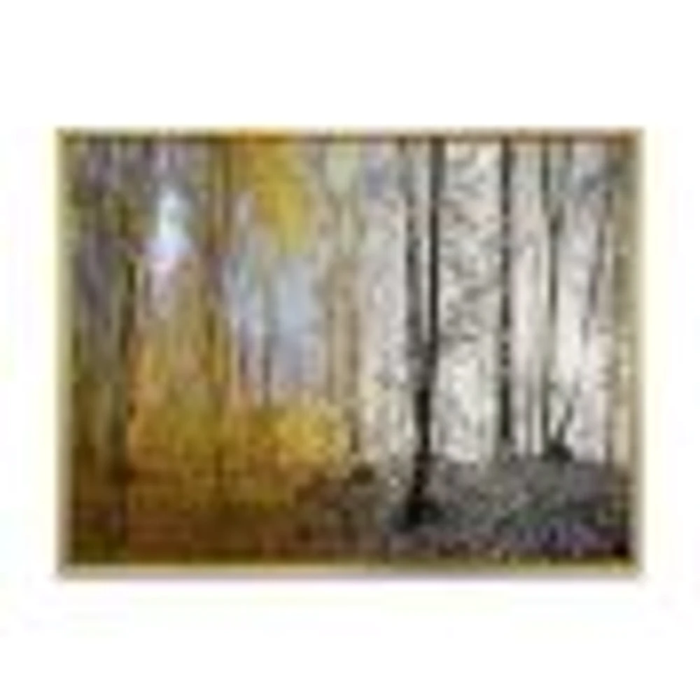 Morning Forest Panorama Canvas Art Print