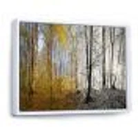 Morning Forest Panorama Canvas Art Print