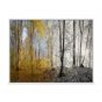 Morning Forest Panorama Canvas Art Print