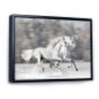 Two White Horse  Wall Art Canvas