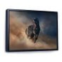 Black Stallion Horse  Canvas