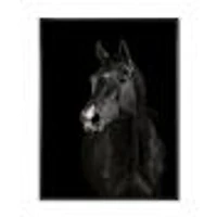 Black Horse darkness  Canvas