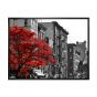Red Tree on Black and White New York City Street  Canvas