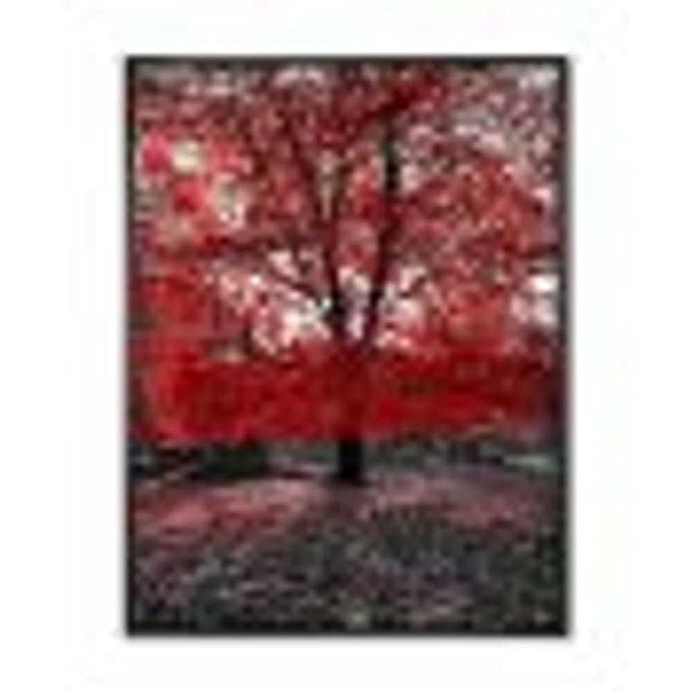 Red Tree Central Park  Wall Art