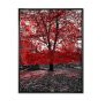 Red Tree Central Park  Wall Art