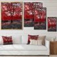 Red Tree Central Park  Wall Art
