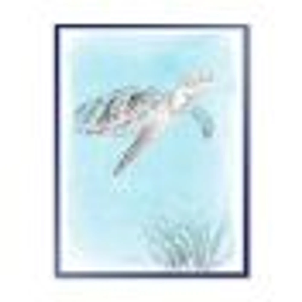 Coastal Sea Life I Turtle sketches  Wall Art