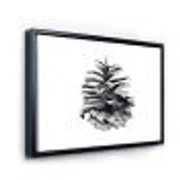 Conifer Cone Monochrome Wall Art