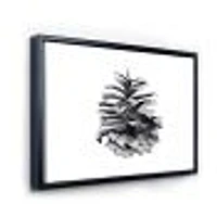 Conifer Cone Monochrome Wall Art