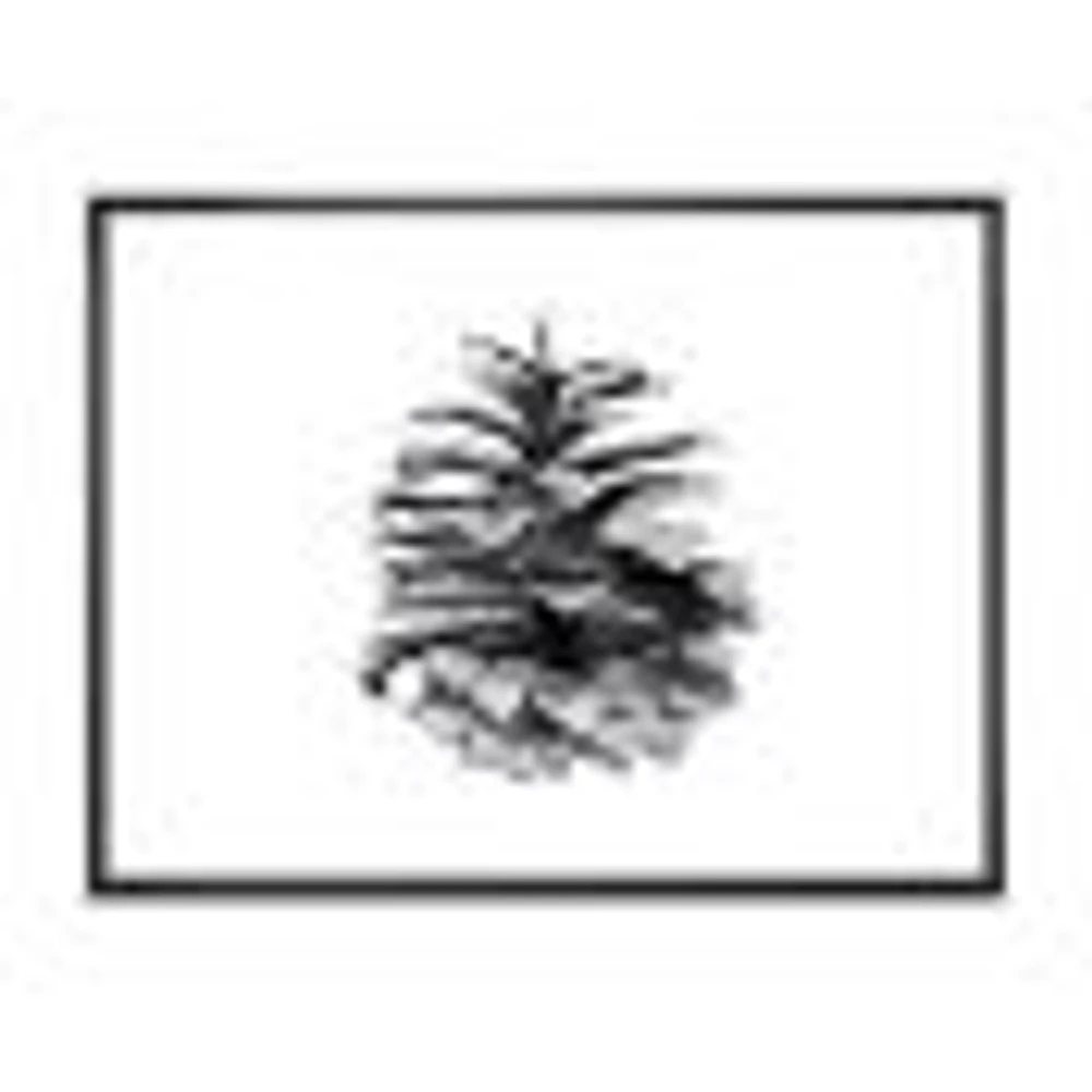 Conifer Cone Monochrome Wall Art