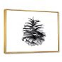 Conifer Cone Monochrome Wall Art