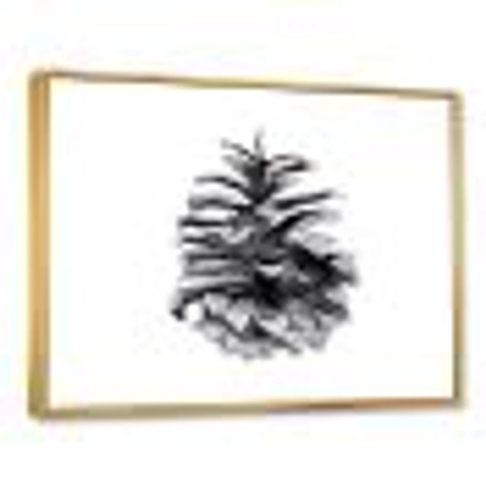 Conifer Cone Monochrome Wall Art
