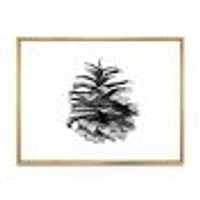 Conifer Cone Monochrome Wall Art