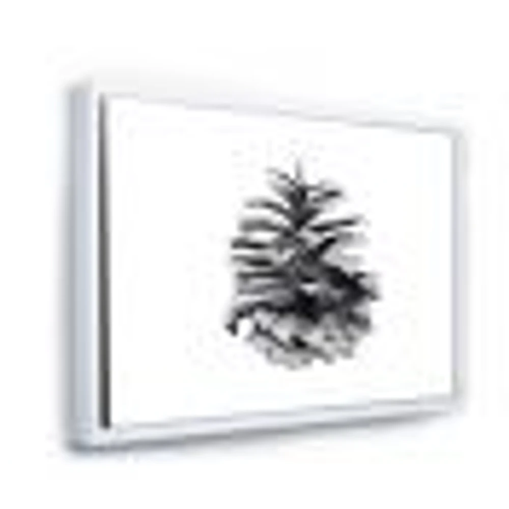 Conifer Cone Monochrome Wall Art