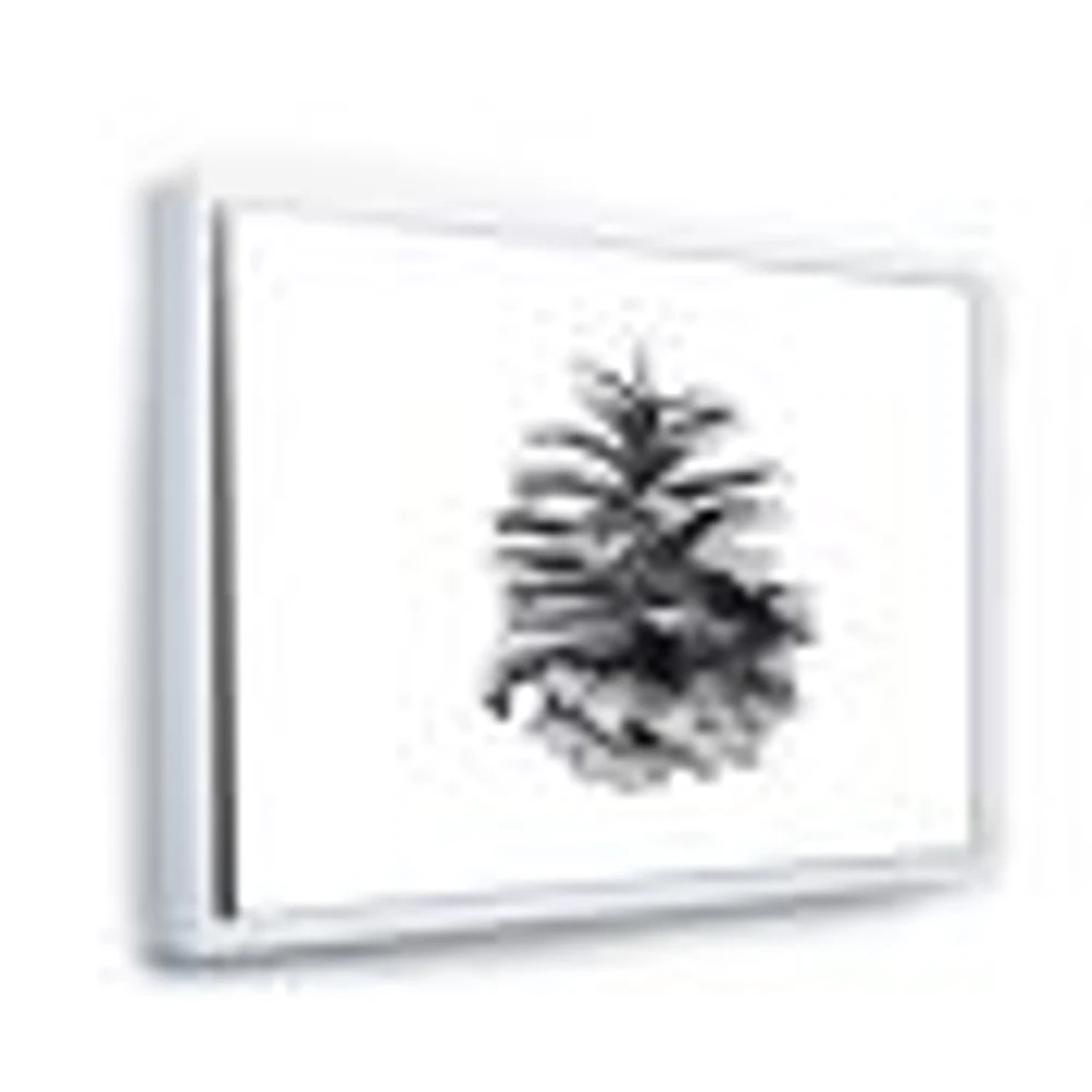 Conifer Cone Monochrome Wall Art