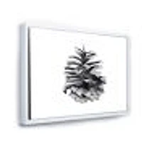 Conifer Cone Monochrome Wall Art