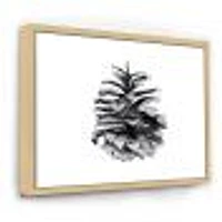 Conifer Cone Monochrome Wall Art