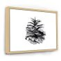 Conifer Cone Monochrome Wall Art